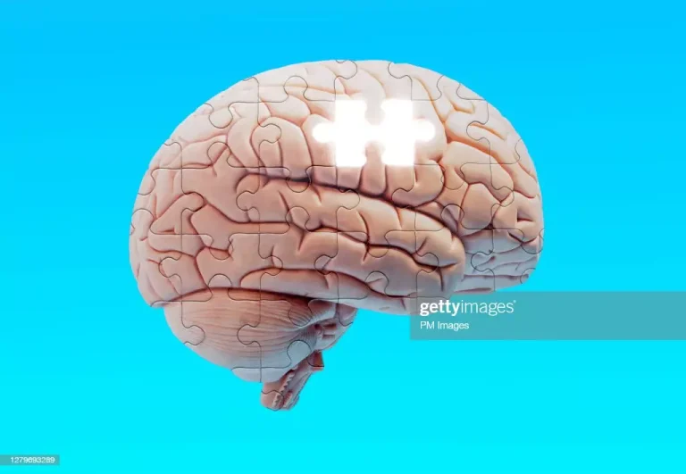 ¿Has escuchado hablar sobre la «zona incierta» del cerebro?