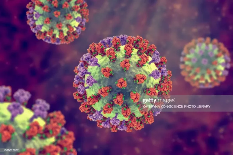 «Un nuevo estudio muestra que virus con millones de años de antigüedad pueden ayudar en la lucha contra el cáncer»