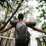 All People Gather Strategic any Supplies of Vegetables