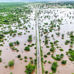 Noticia internacional 8